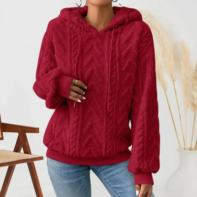 https://ae01.alicdn.com/kf/S45dc2473afff49c391fc653db49ef016b/Women-Autumn-Winter-Solid-Color-Hoodie-Drawstring-Hooded-Long-Sleeve-Plush-Thickened-Pullover-Sweatshirt-Streetwear.jpg